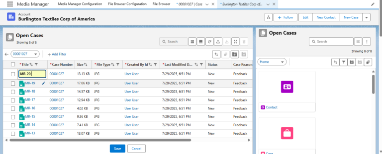 Inline Edit for Media Details
