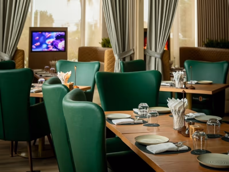 بانيا فورست