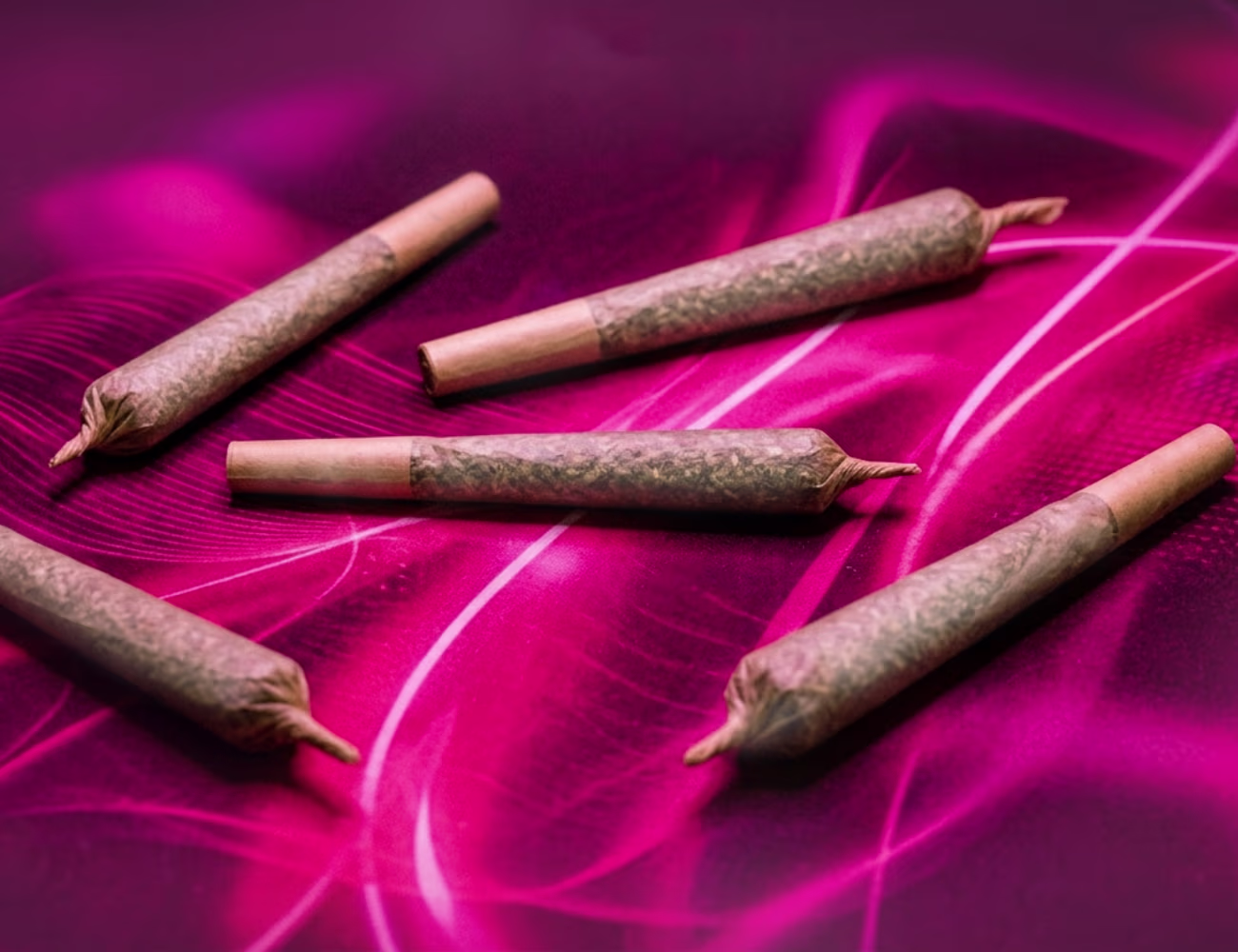 Cannabis pre-rolls joints arranged on a vibrant pink abstract background