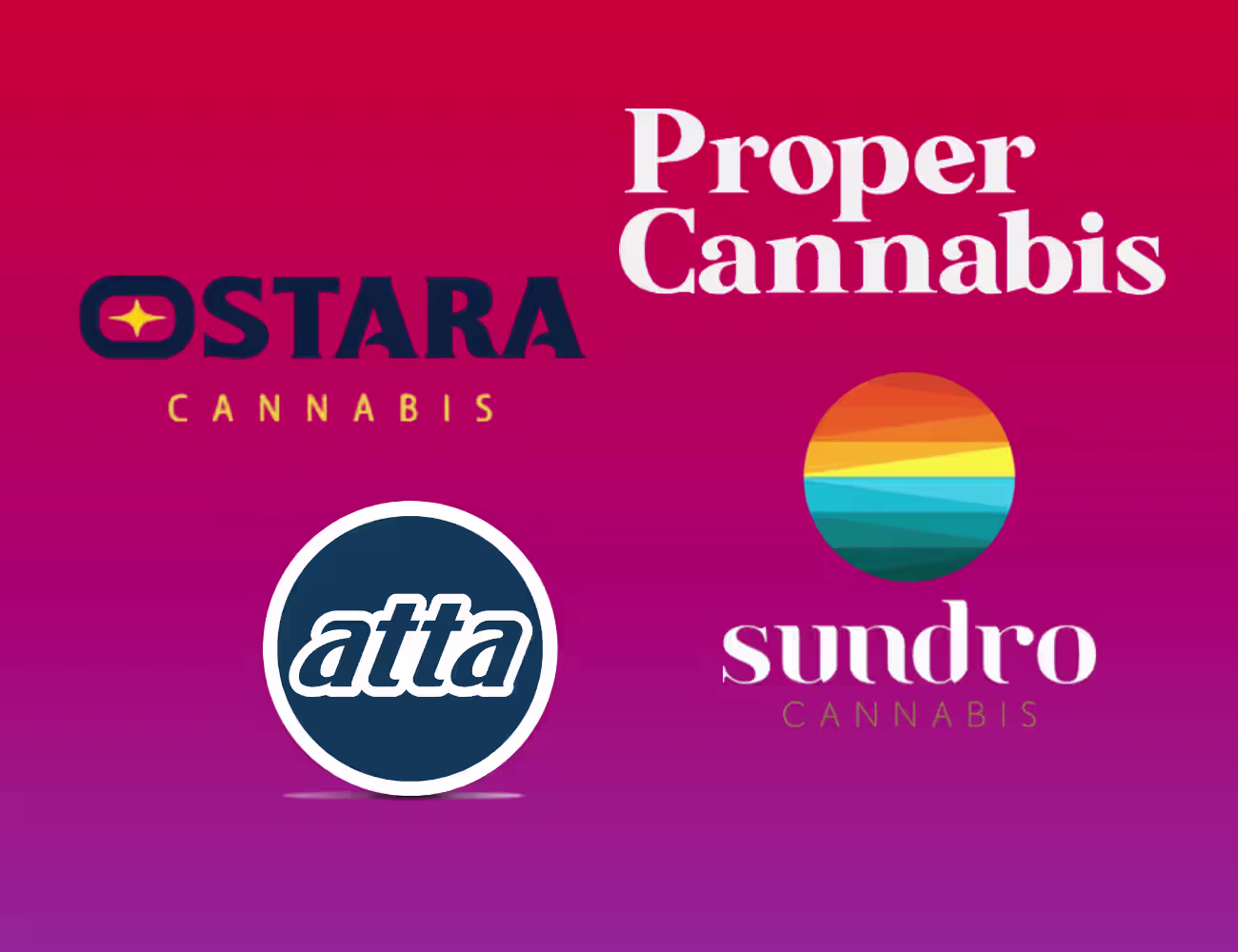 Cannabis brand logos displayed on a bright pink-to-purple gradient background. Featured brands include Ostara Cannabis, Proper Cannabis, Atta, and Sundro Cannabis, each shown with their distinct logo and branding style.