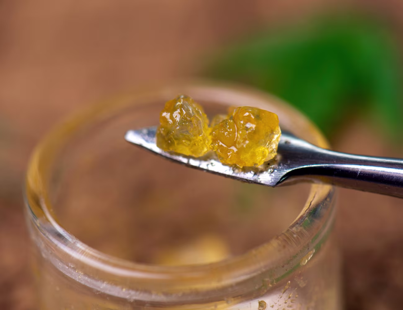 Close-up macro photo of golden cannabis concentrate on the tip of a metal dab tool hovering above an open glass concentrate jar, with a softly blurred background and green leaf detail in the distance.
