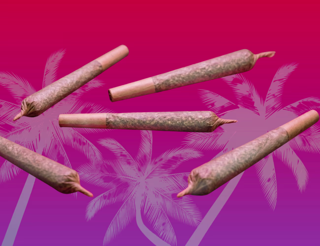 Five cannabis pre-rolls floating across a bright pink-to-purple gradient background with faded palm tree silhouettes, creating a relaxed summer-themed cannabis graphic.