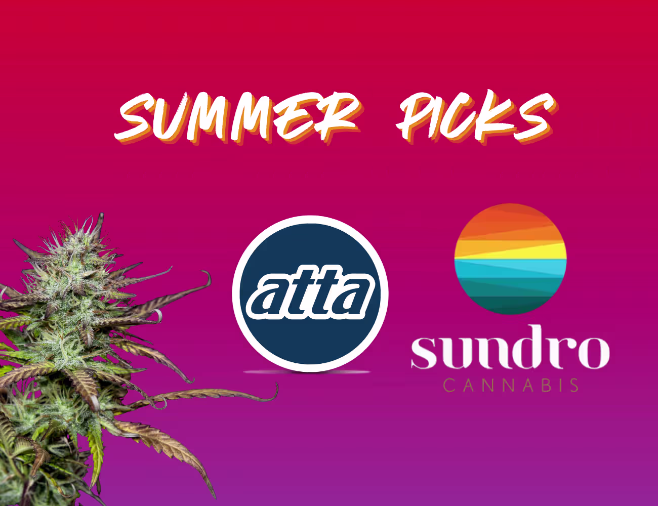 Three cannabis beverage products displayed against a bright pink-to-purple gradient background. From left to right: a turquoise HUGS THC-infused shot spray, a yellow Keef Pineapple X-Press cannabis-infused soda can 10mg of THC, and an orange Canna Cantina Mango agua fresca 100mg THC beverage bottle with tropical fruit illustrations on the label.