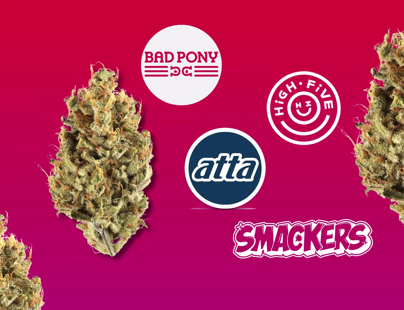 Brand logos for Clouds, Bad Pony, Atta, High Five, and Smackers arranged with cannabis flower on a vibrant magenta gradient background.