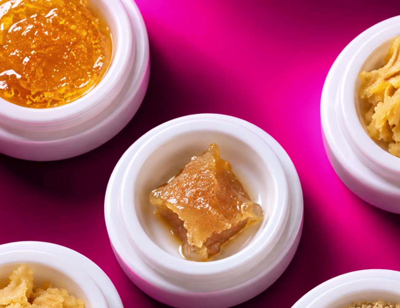 Close-up of golden cannabis concentrates with glossy, crumbly, and grainy textures in white jars on a neon pink-to-deep-magenta gradient background.