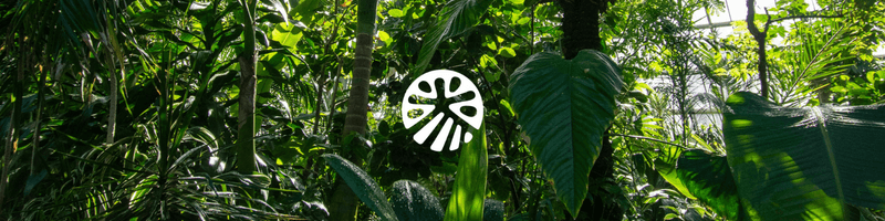 Equitable Earth Secures €12.6M to Accelerate Certification of Nature ...
