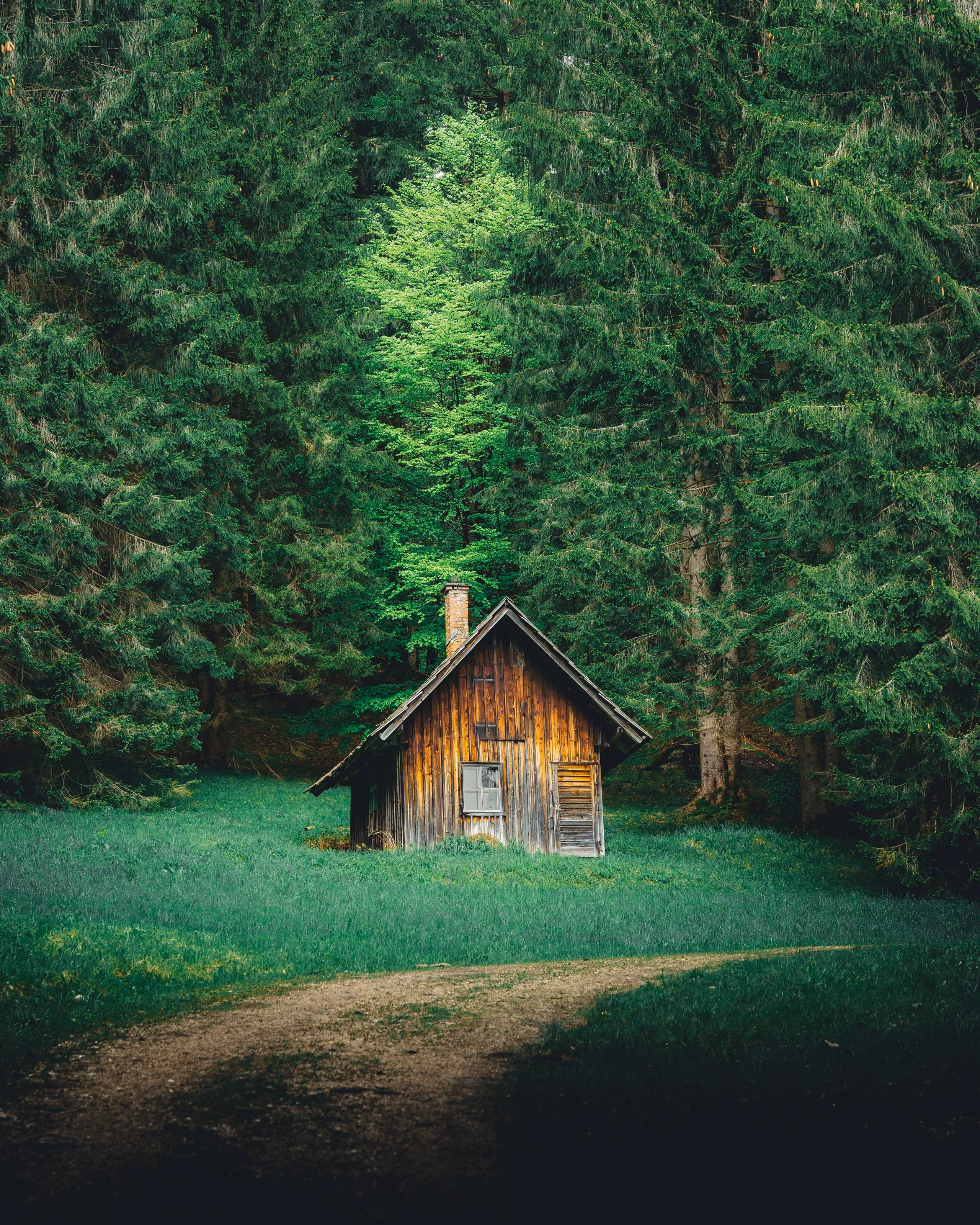 Mazs koka namiņš starp zaļiem kokiem un zāli, ar taciņu priekšā.