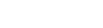 Singularity NET