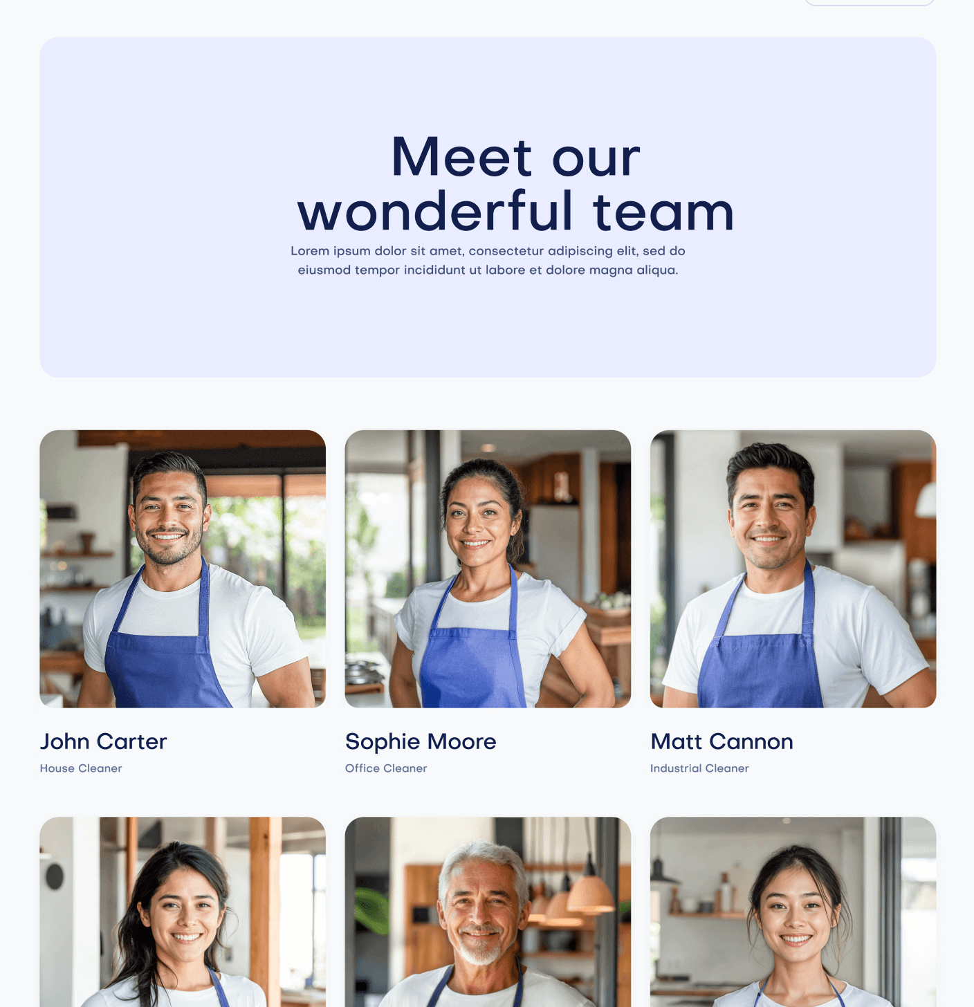 Fresh X Team Main Pages Cleaning Weblow Template | Brix Template
