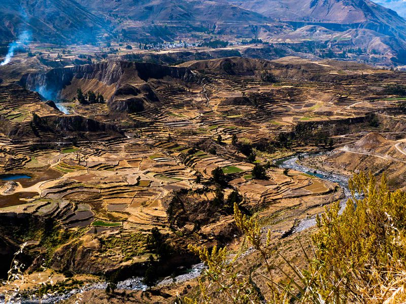 Canyon de Colca