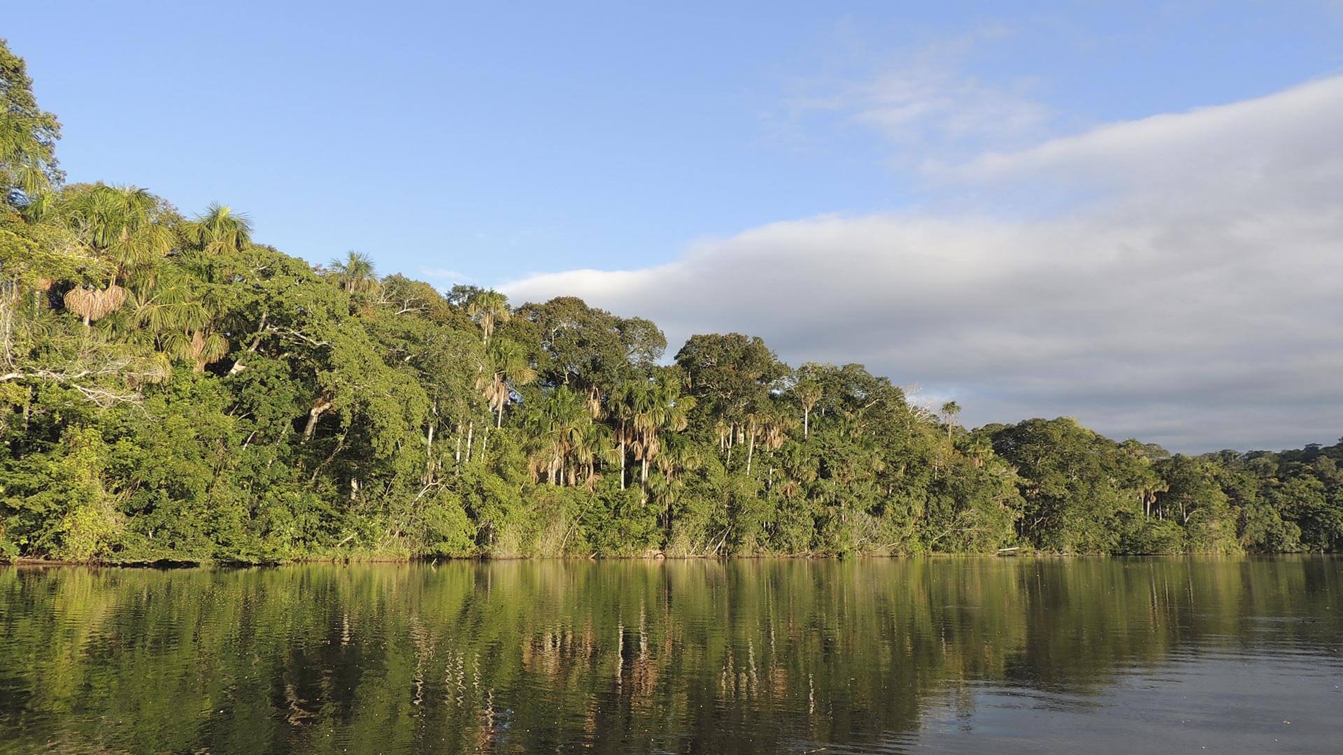 Pampas del río Yacuma