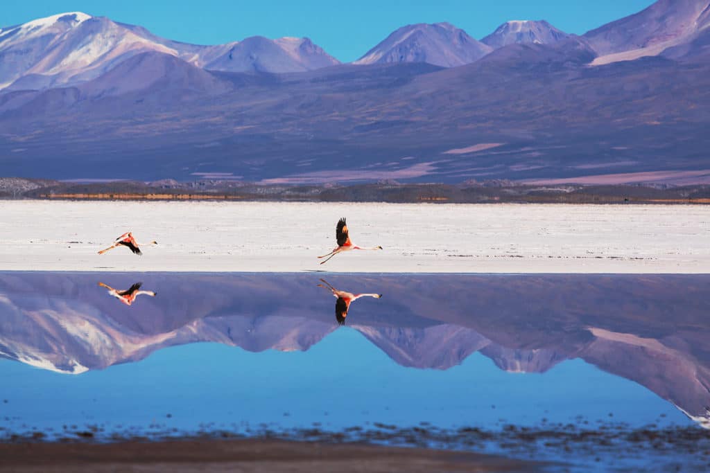 Salar de Uyuni en Bolivie