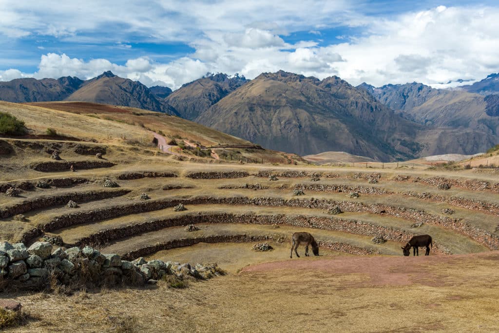 Terrasses de Moray dans la Vallée Sacrée des Incas