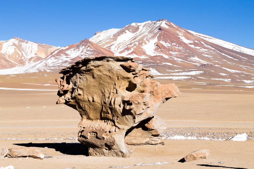 Arbre de Pierre dans le désert de Siloli, formation rocheuse sculptée par l’érosion au cœur de l’Altiplano bolivien.