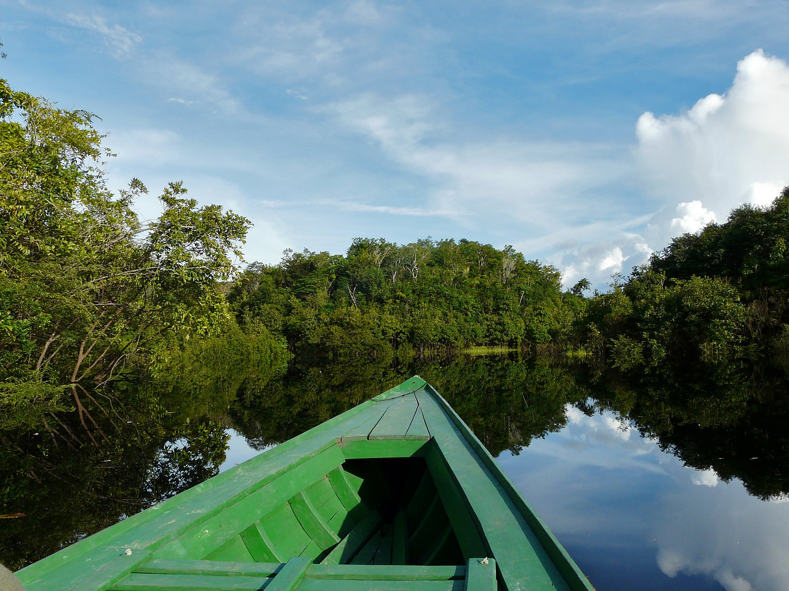 Rivière amazonienne aux eaux calmes vue depuis une embarcation