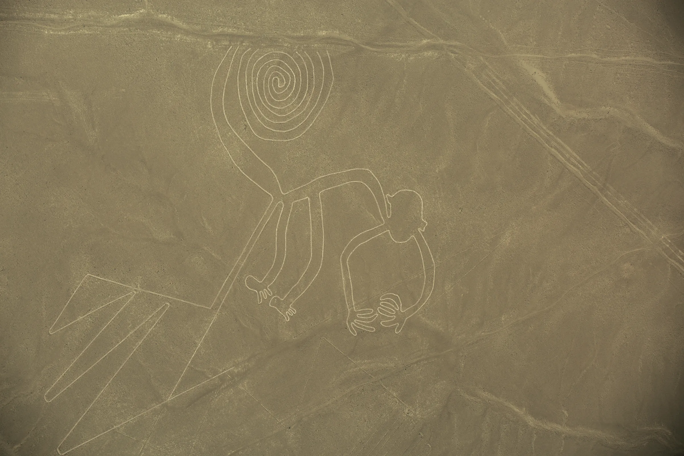 Géoglyphe du singe vu du ciel, lignes de Nazca, désert du sud du Pérou