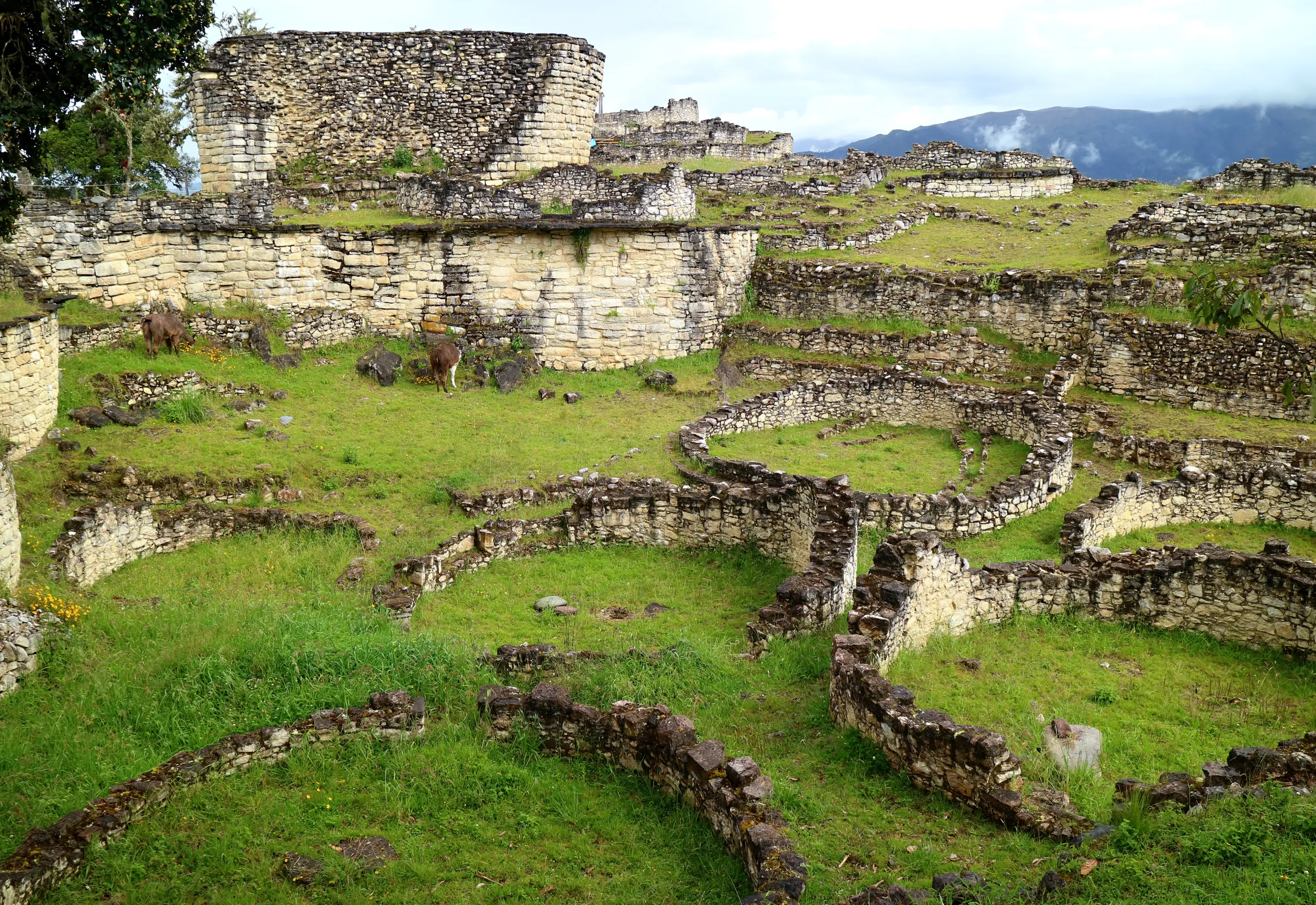 Maisons rondes en pierre à l’intérieur de la forteresse de Kuélap, région Amazonas