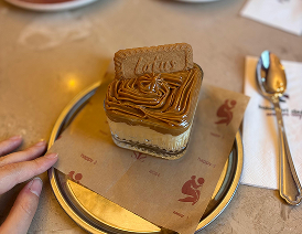 A creamy Lotus Biscoff dessert topped with swirls of caramelized spread and a Lotus biscuit, served on a golden-rimmed plate with a napkin and spoon beside it.
