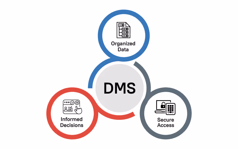 Data Management Solutions