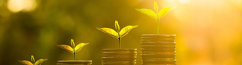 Tips to Increase Your Cash Flow in 2017