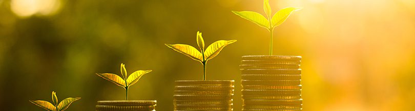 Outsourcing Your Books - The Smarter Way to Save Money