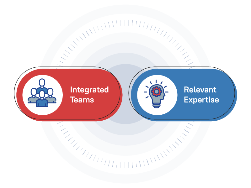 Integrated Teams and Relevanet Expertise