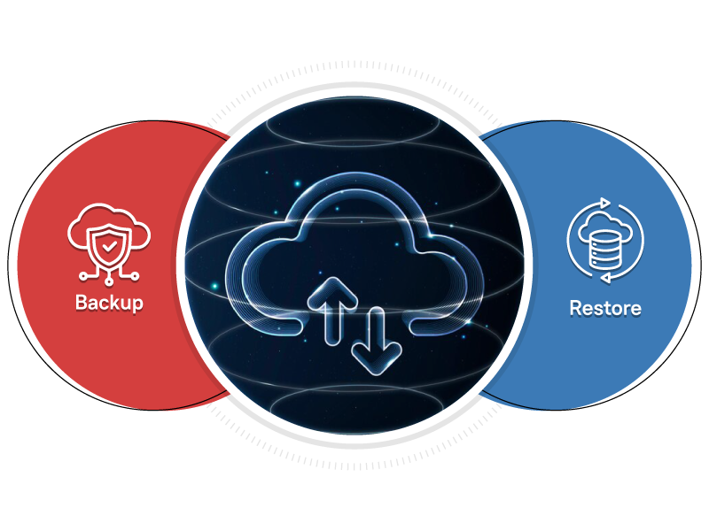 Key Differences between Backup and DRP