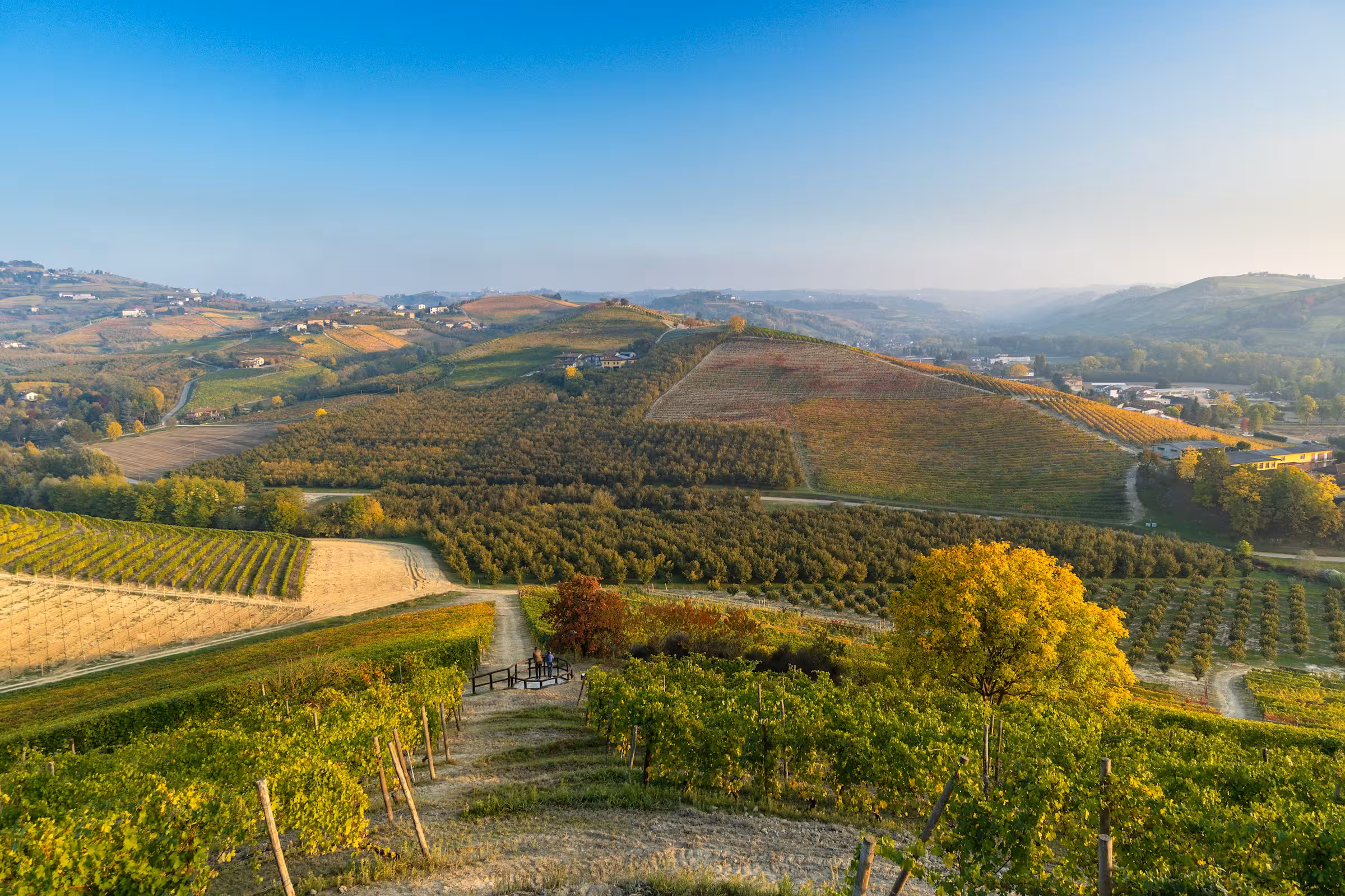 Food and wine experiences in Piedmont: truffle hunting in the Langhe, visits to the Barolo and Barbaresco cellars, chocolate workshops and tastings of DOP cheeses.