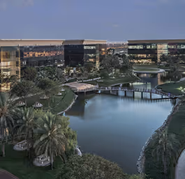 Dubai Industrial City