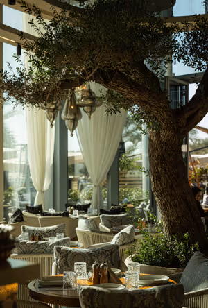 Soyl Restaurant