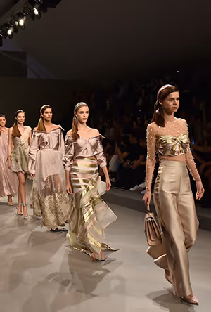 Anaya Collection