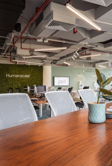 Humanscale