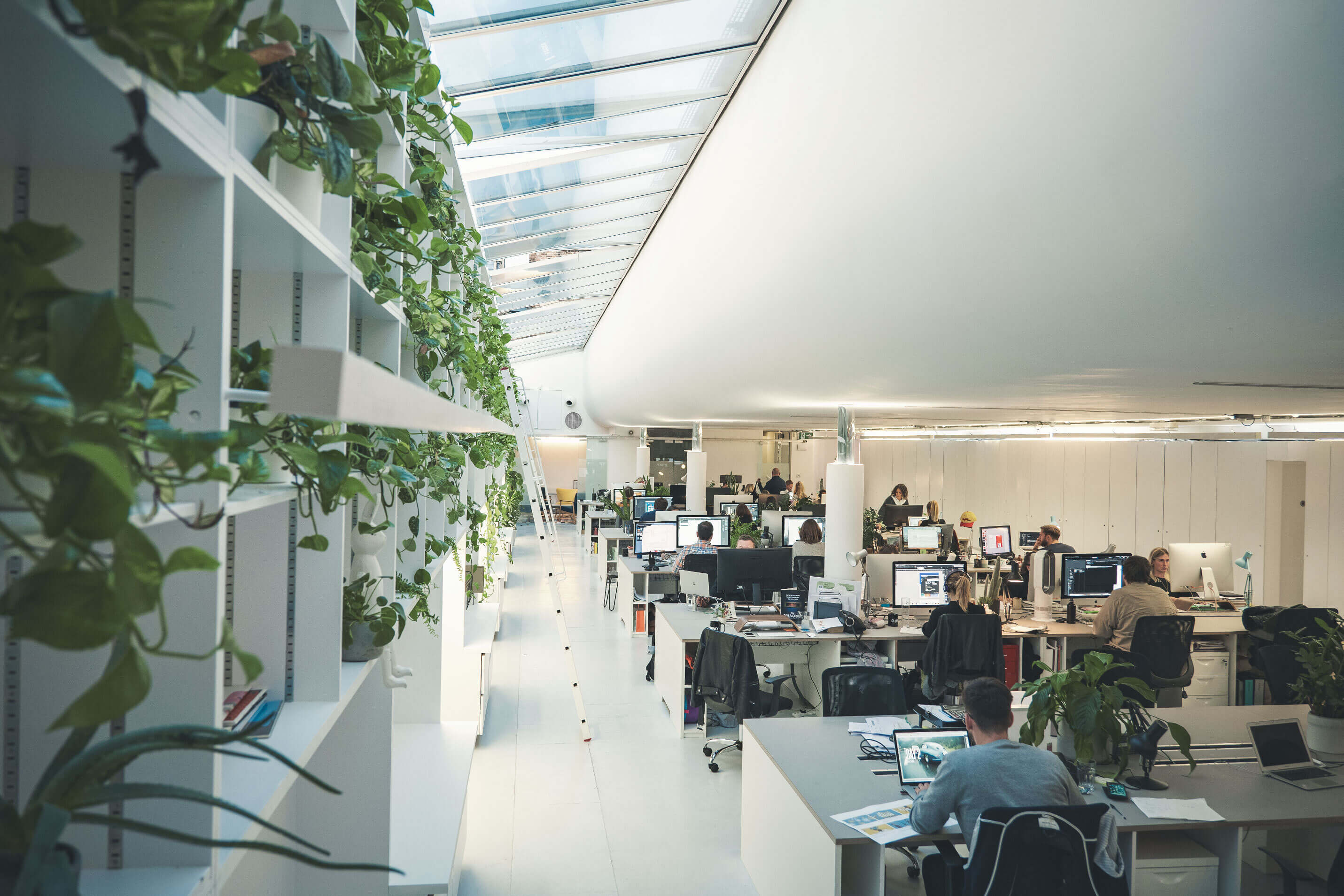 Image of the Otherway studio. A wall of bookshelves holding plants on the left. On the right, multiple desks with people working at desktops in rows. 
