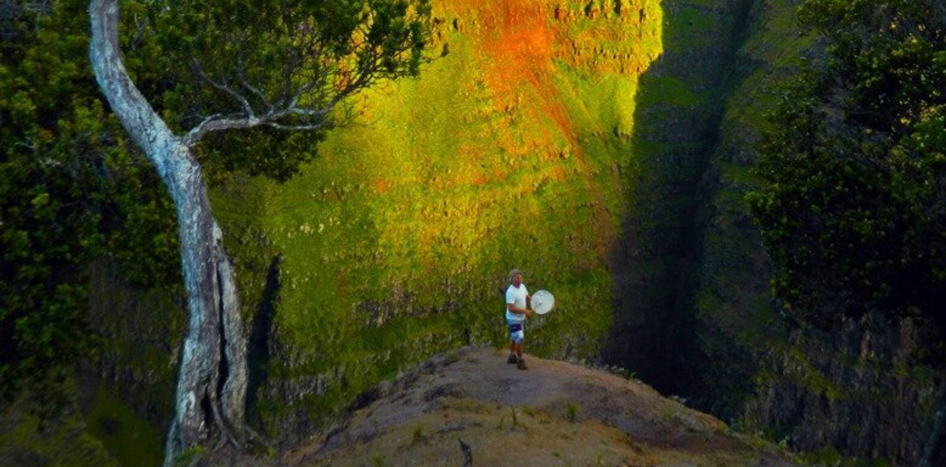 Shamanic Journey Circle: The Web of Life