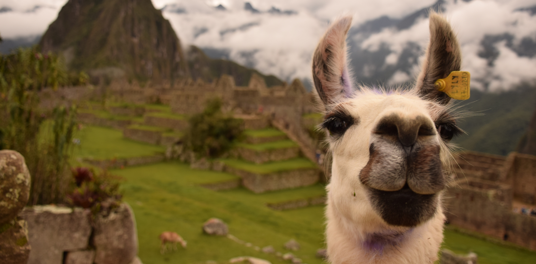 Retreat: A Sacred Journey to Peru