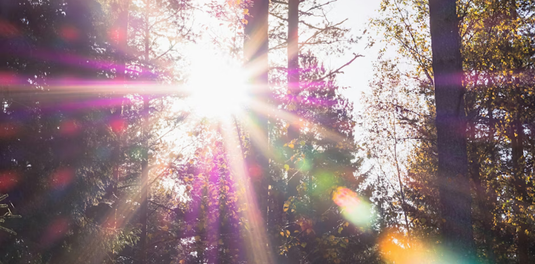 Sacred Rhythms: A Year of Nature’s Wisdom