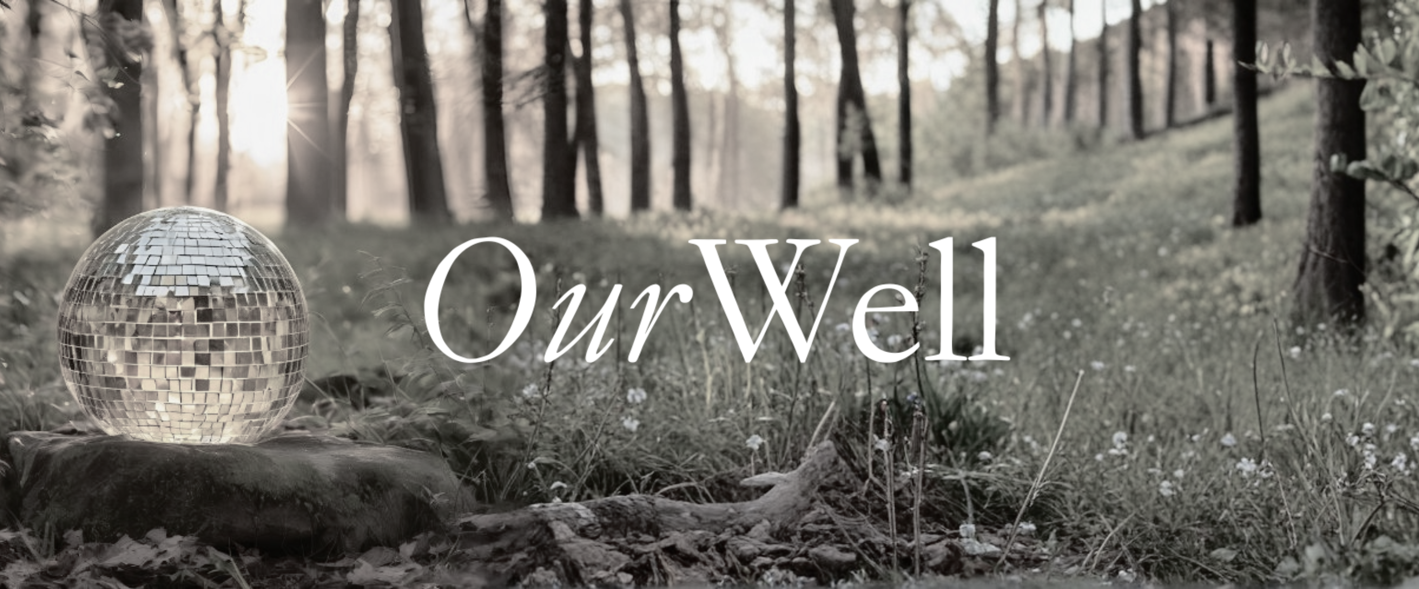 OurWell