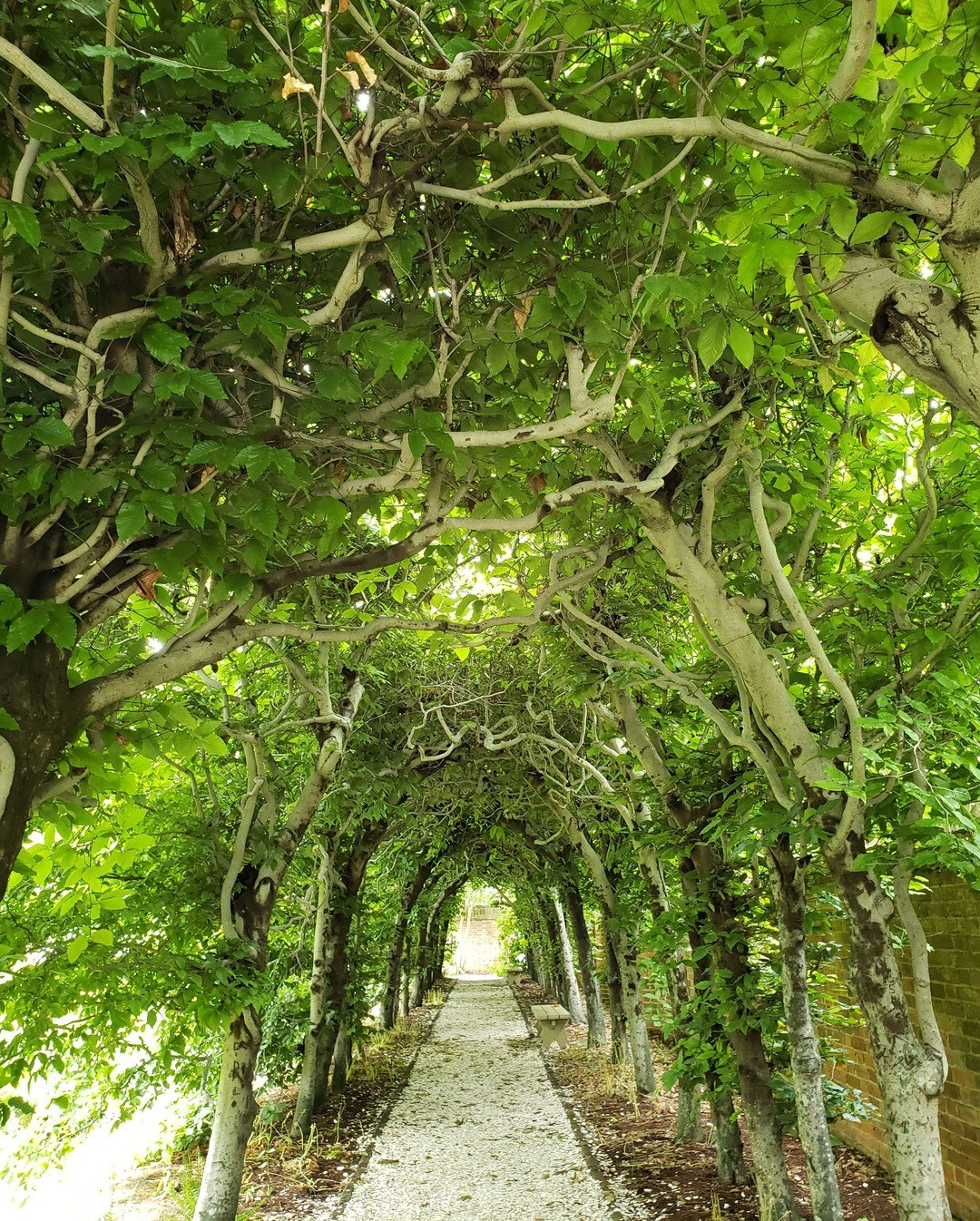 The Spa of Colonial Williamsburg