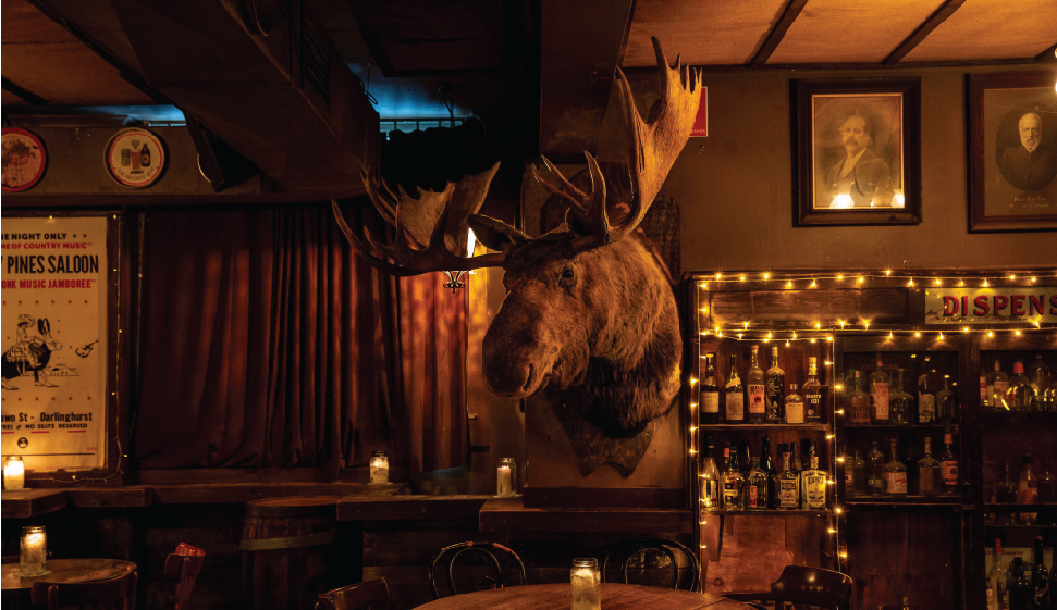 Shady Pines Saloon