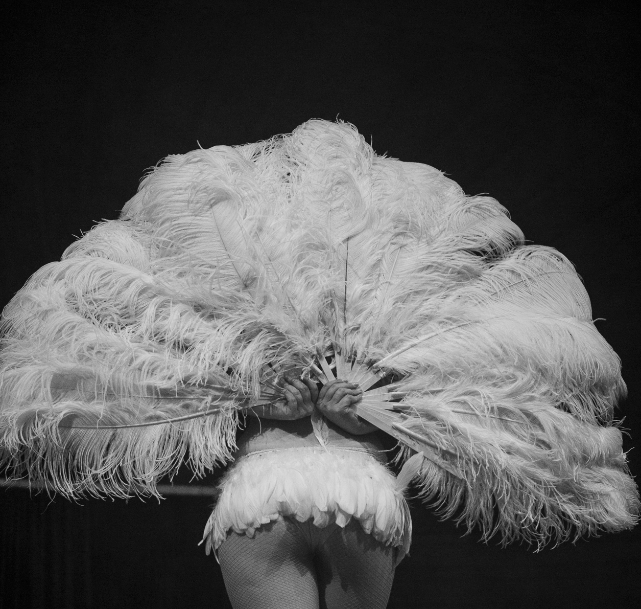 Roaming Burlesque - Kent St Hotel - Negroni Month