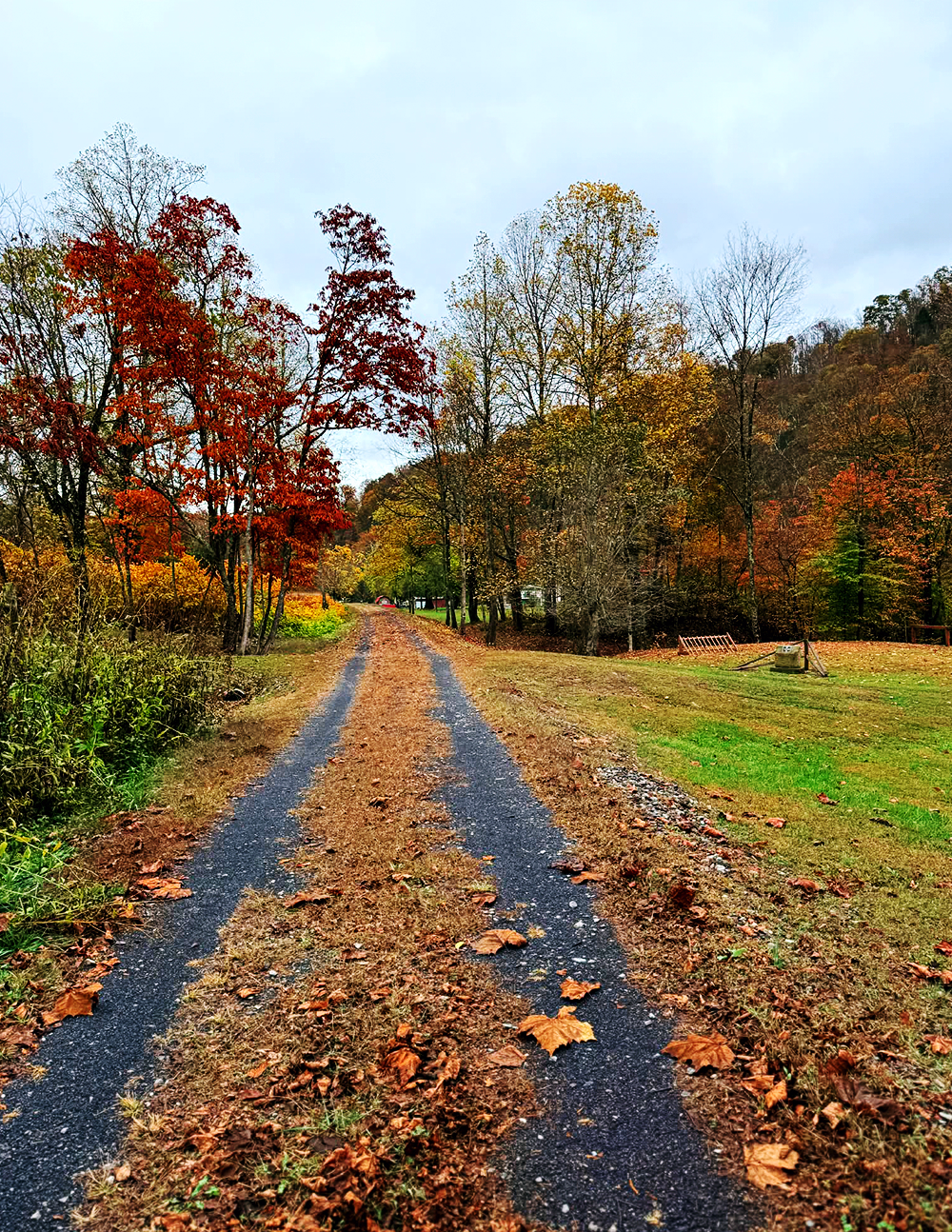 Troop 123 Leaves Their Mark on the Elk River Trail