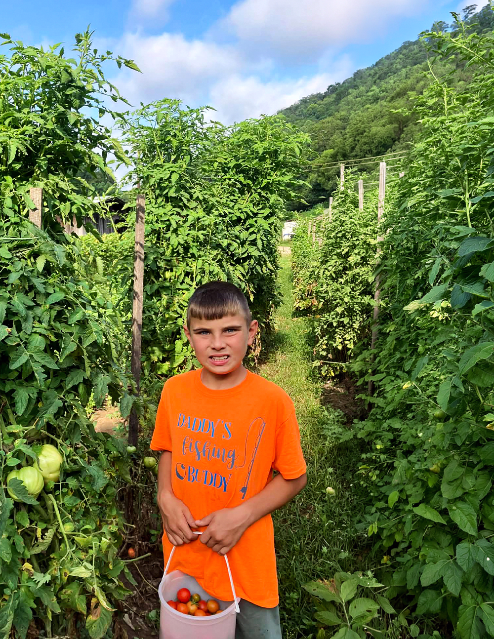 Tomatoes for Spring Planting