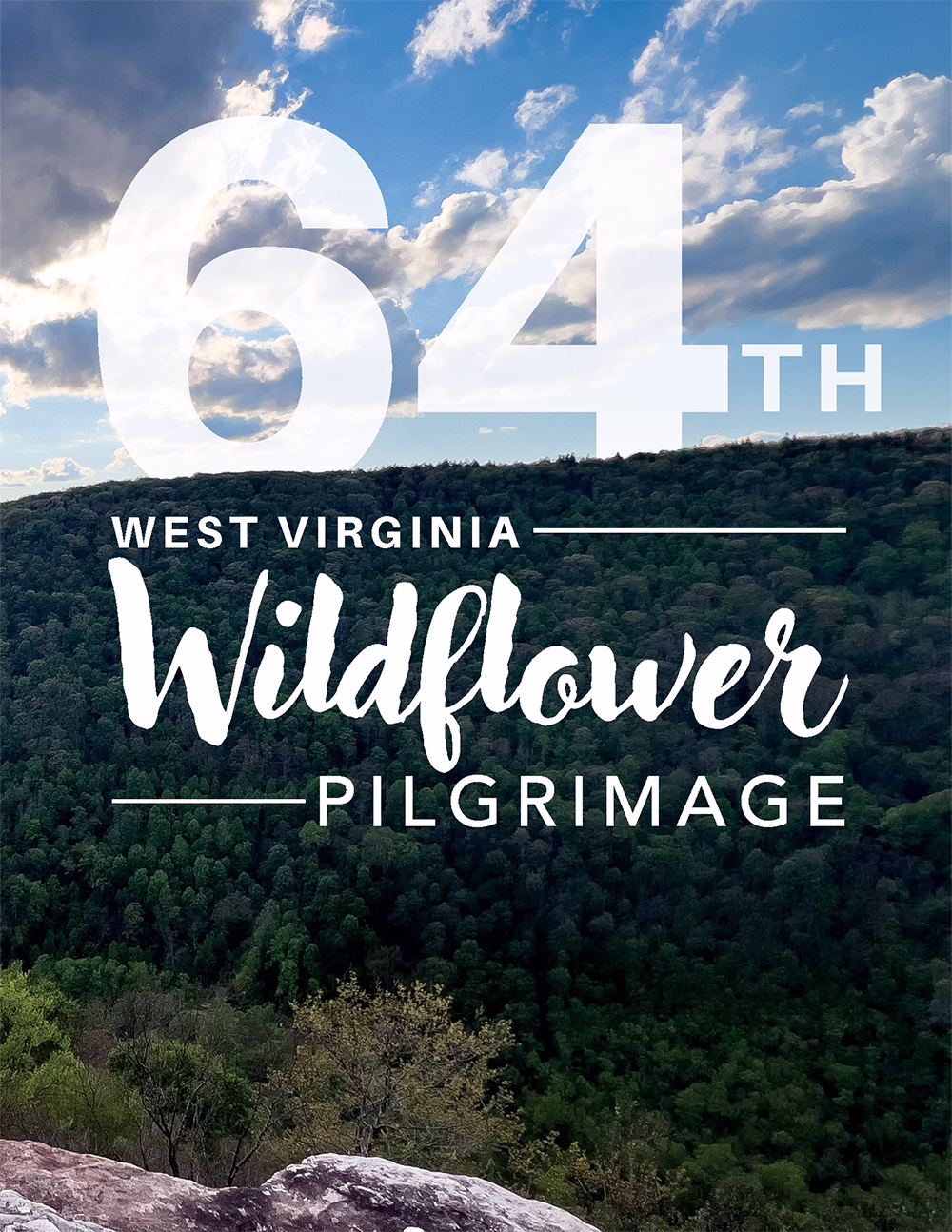 Wildflower Pilgrimage