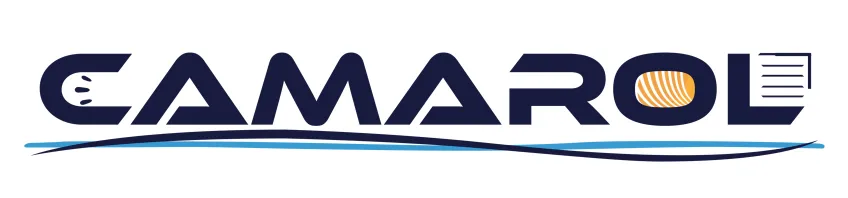 Logo de CAMAROL avec un effet de vague bleue en dessous.