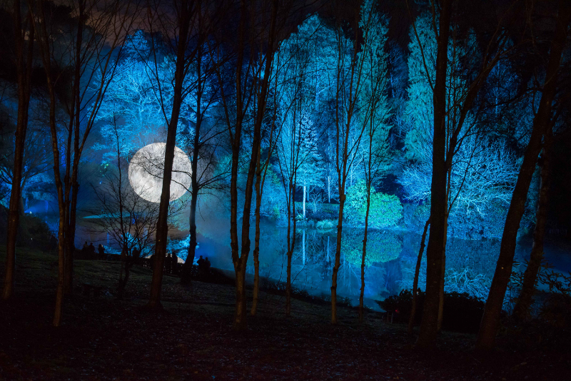 Leonardslee Illuminated 