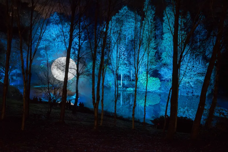 Leonardslee Illuminated 