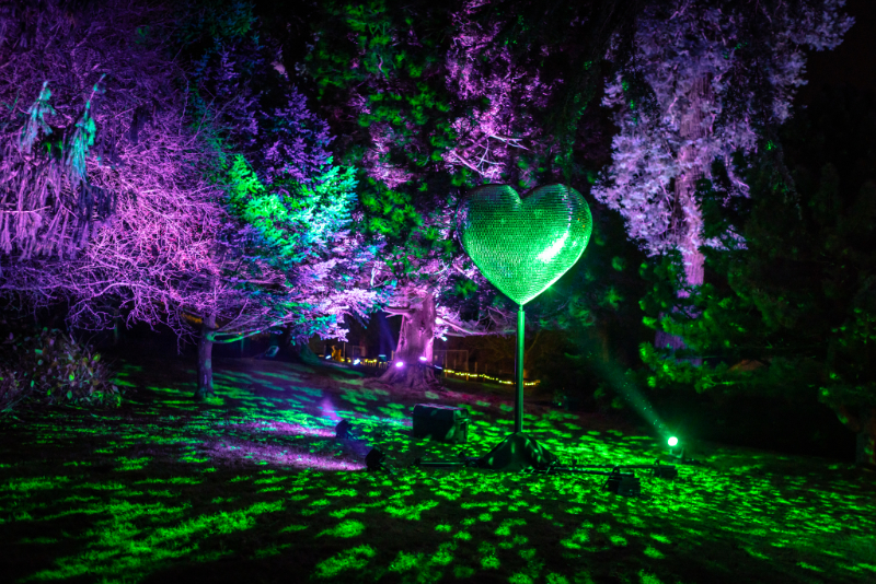 Leonardslee Illuminated 