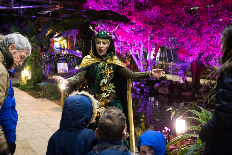 Leonardslee Illuminated 