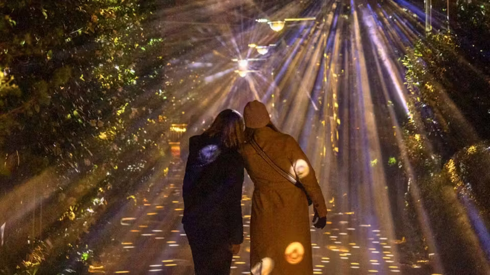 Leonardslee Illuminated 