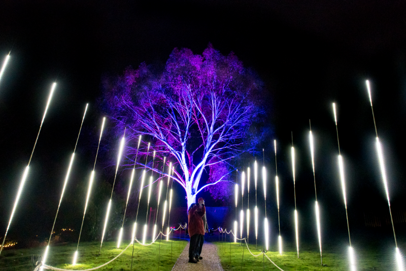 Leonardslee Illuminated 